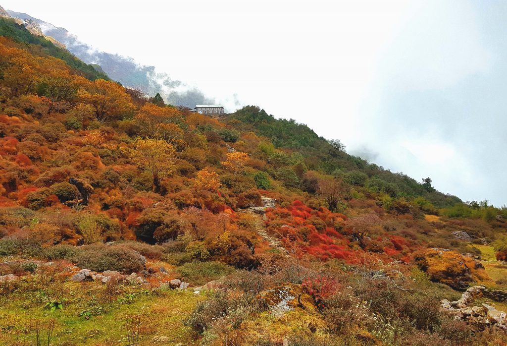 A lodge perched on a ridge at Cholem Kharka