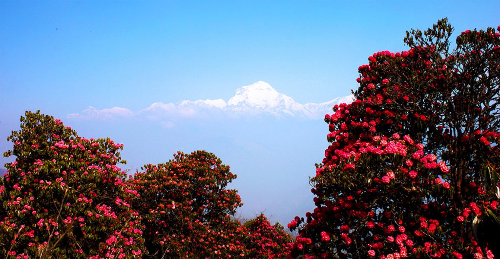 Annapurna