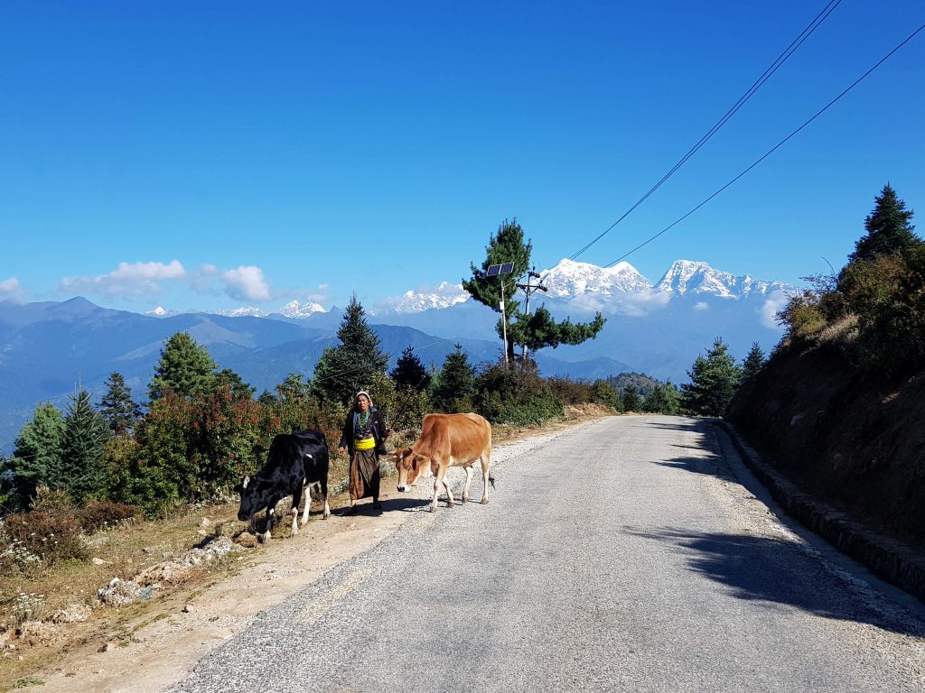 Driving back to Kathmandu