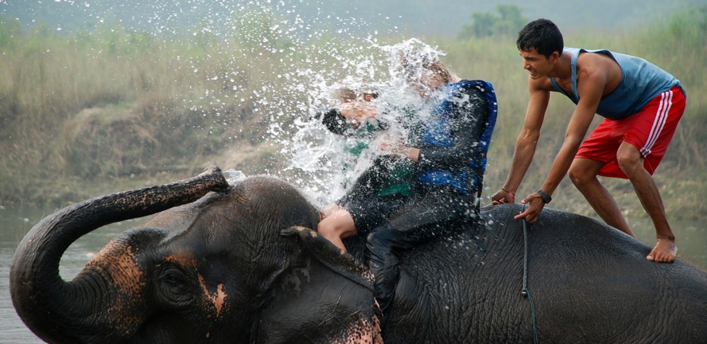 Elephant bathing