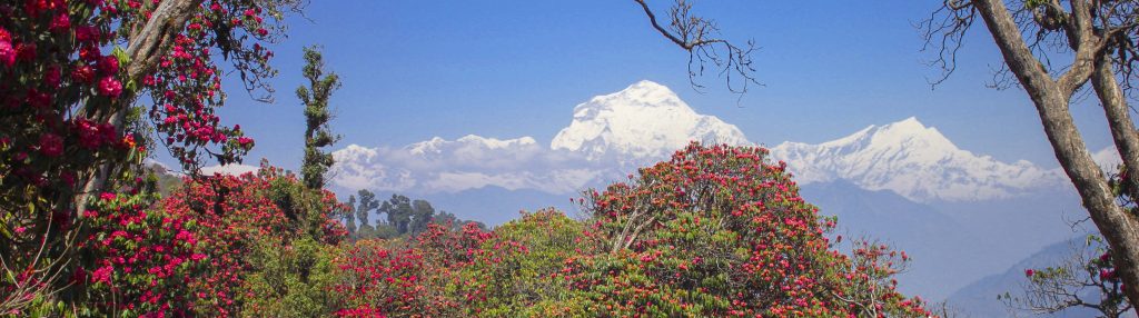 Ghorepani