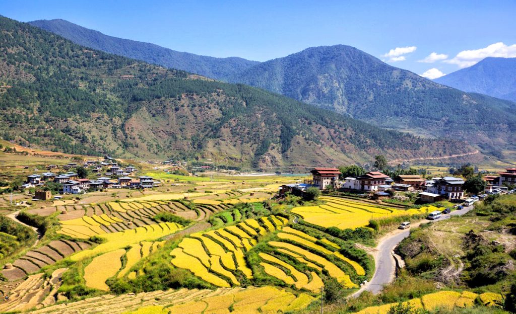 Rice terraces