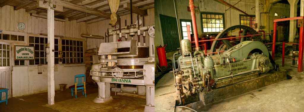 Tea is still processed in the same traditional method in the same machine from 1899