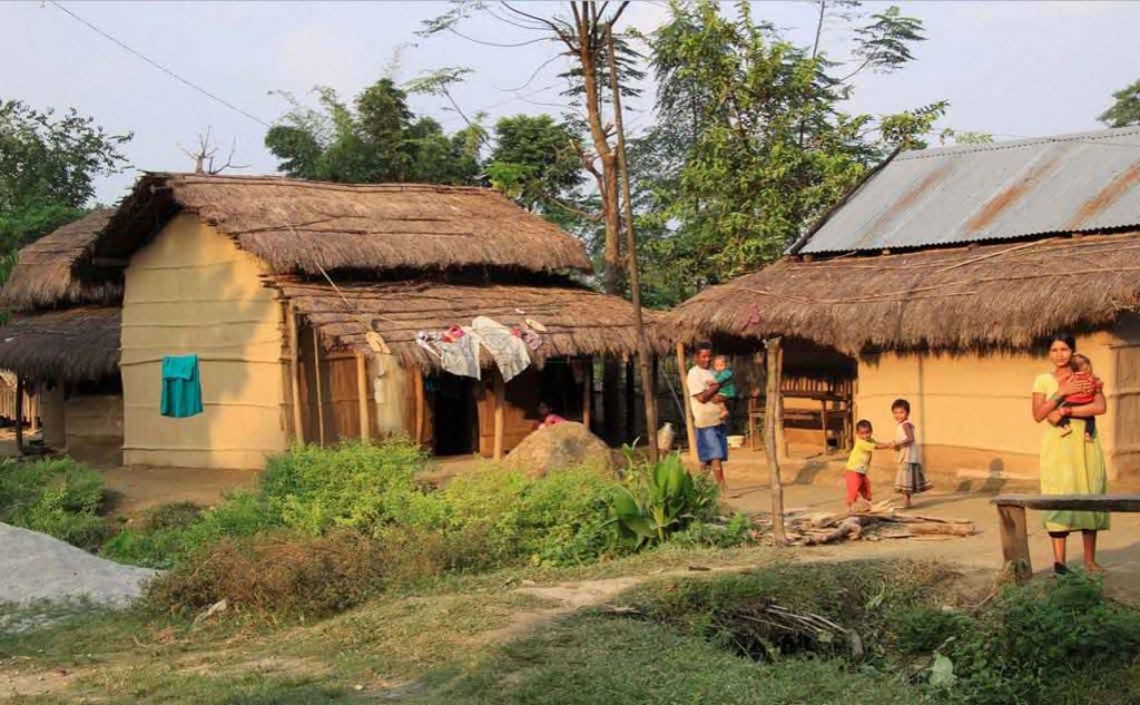 Tharu village tour