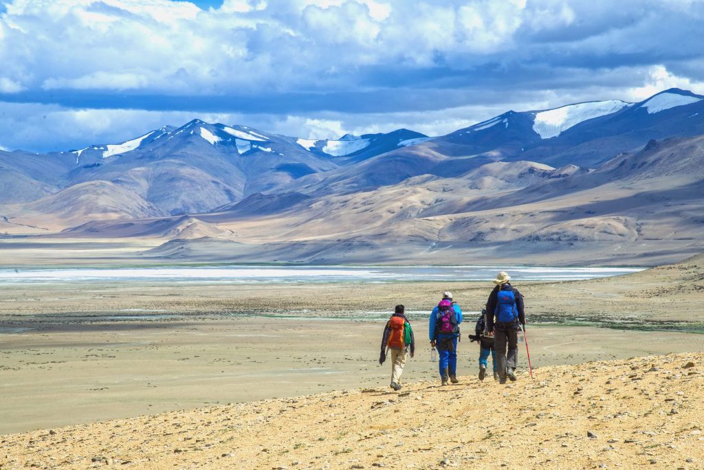 Tsokar Lake- breeding grounds for migratory birds