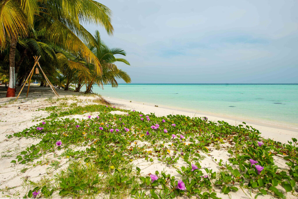 flowerybeach