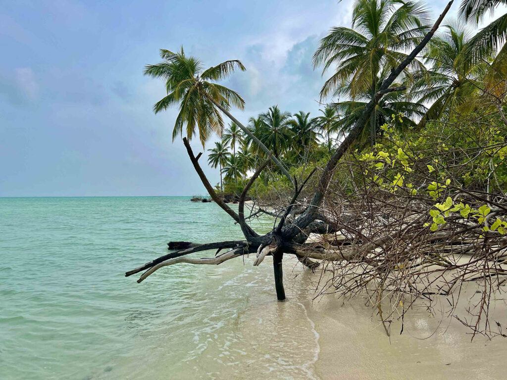 serenebeacheslakshadweep